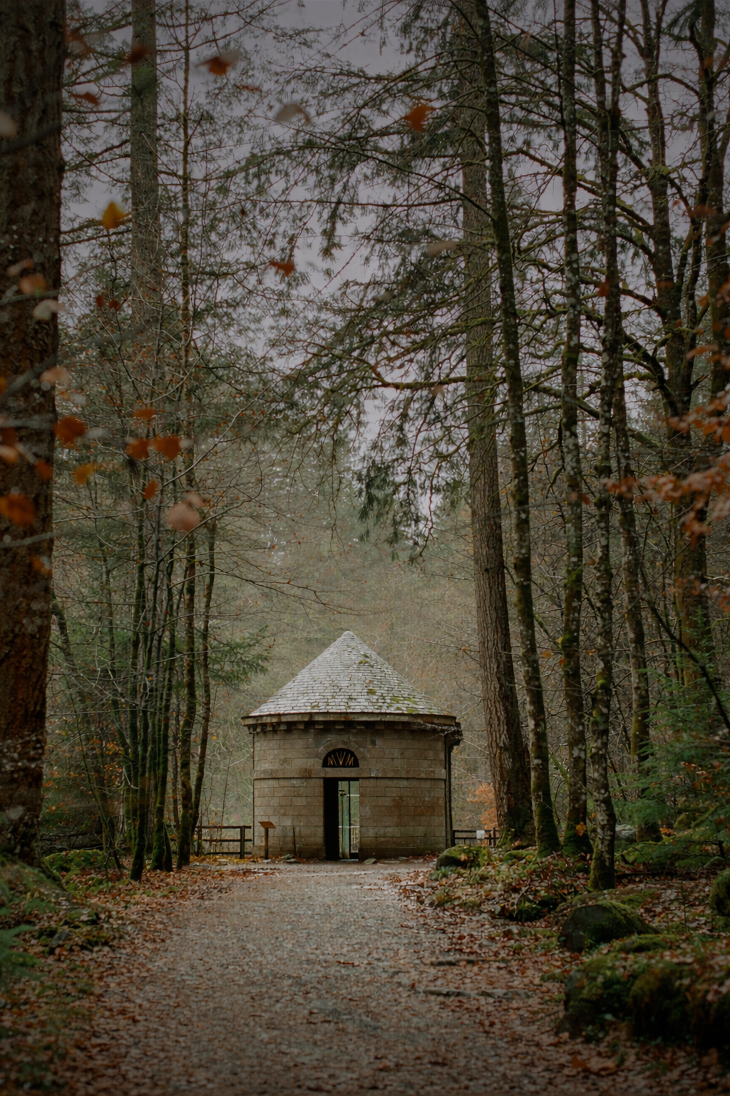 Fabric texture detail